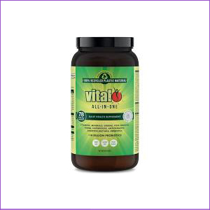 Vital All - In - One Powder 600g