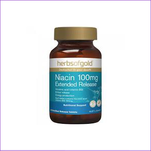 Hog Niacin Extened Release 100mg