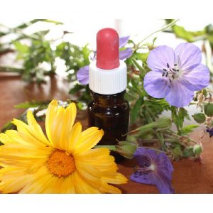 Flower Essence Spray