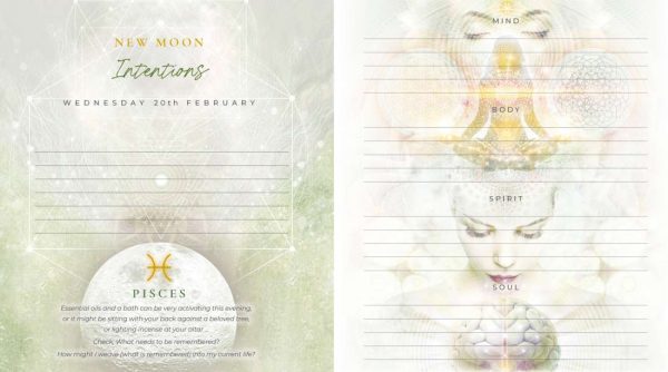 2023 Gratitude Diary