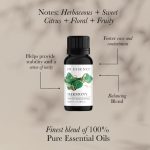 In Essence Lifestyle Harmony 8 Ml