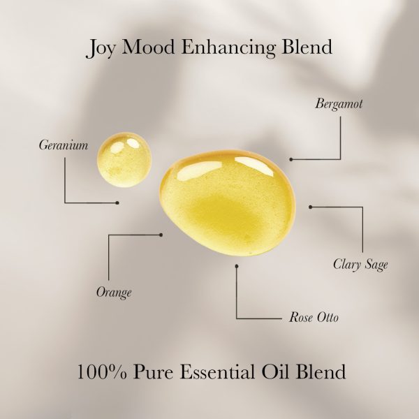 In Essence Joy