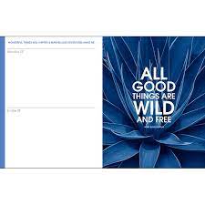 Affirmations 2022 Blue Diary