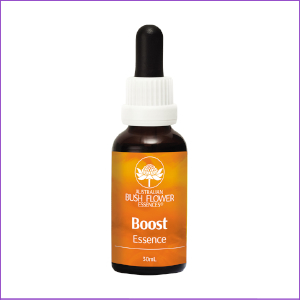 Aust Bush Flower Boost Essence 30ml