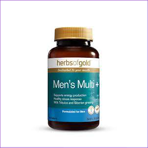 Herbs of Gold Mens Multi 30t