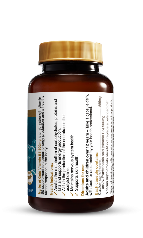 Hog Vitamin B5 500mg 60vc