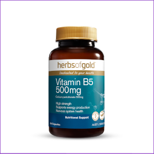 Hog Vitamin B5 500mg 60vc